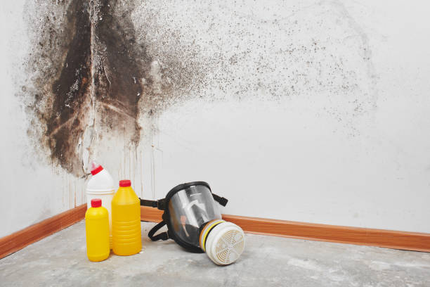 Water Damage Restoration in Blackwells Mills, NJ