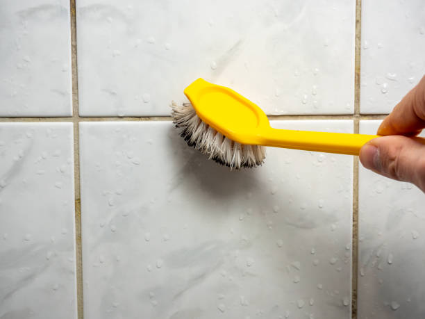 Best Attic Mold Removal  in Blackwells Mills, NJ