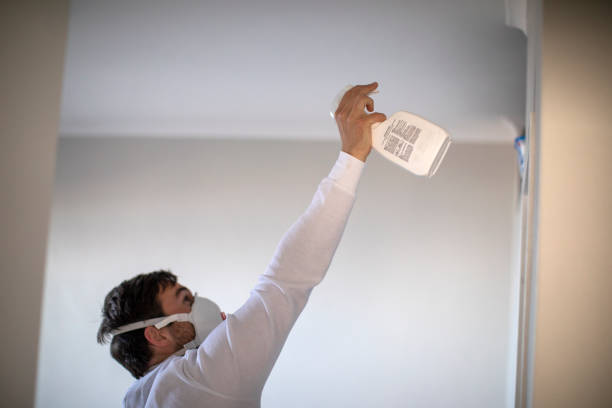 Best Mold Cleaning Services  in Blackwells Mills, NJ