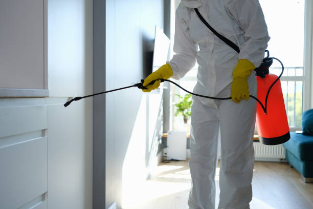 Office Mold Removal Services in Blackwells Mills, NJ