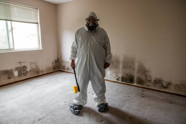 Best Residential Mold Removal  in Blackwells Mills, NJ